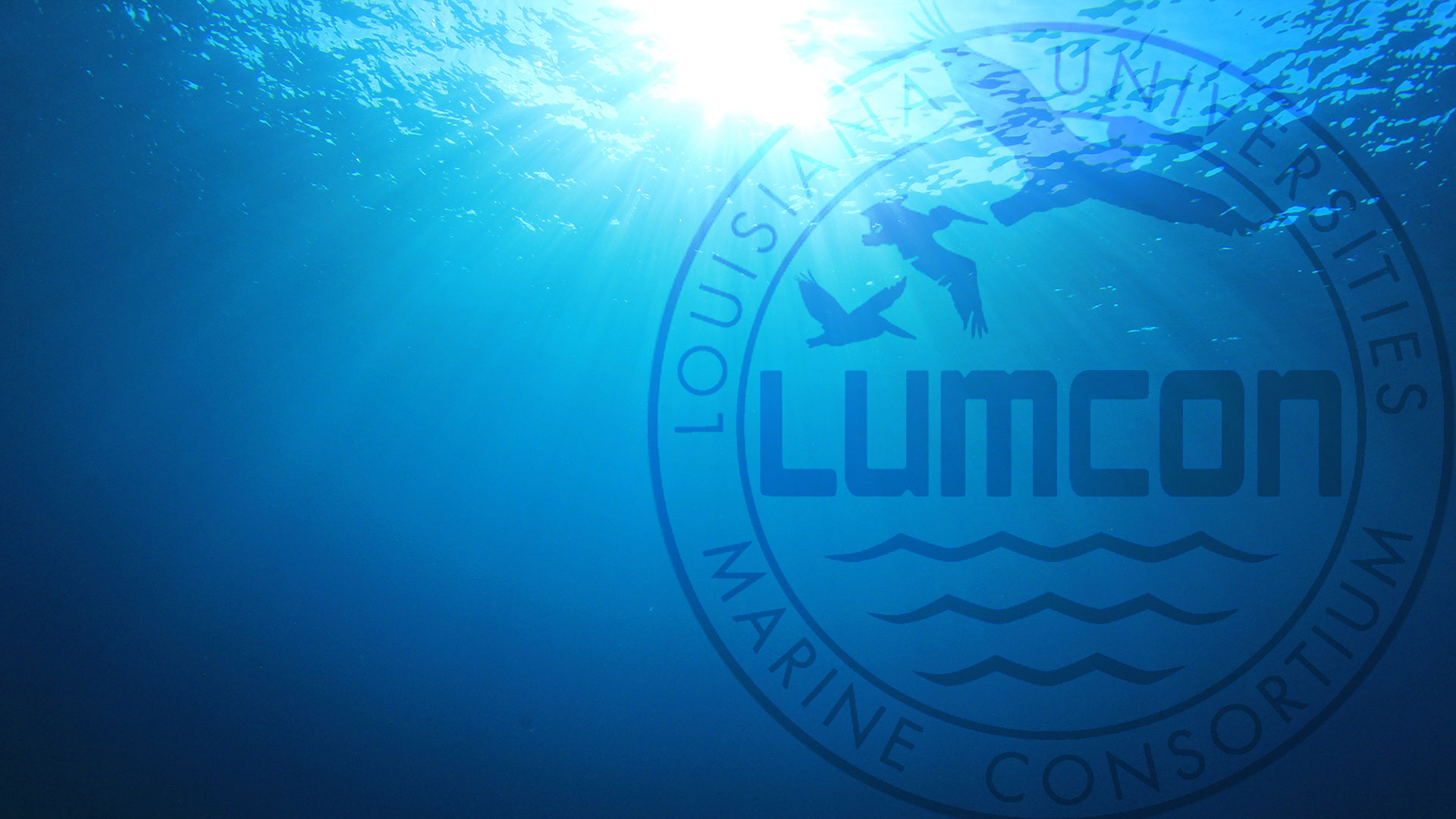 LUMCON - The Heart of Marine Science